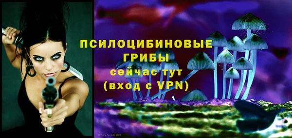 метадон Лабытнанги